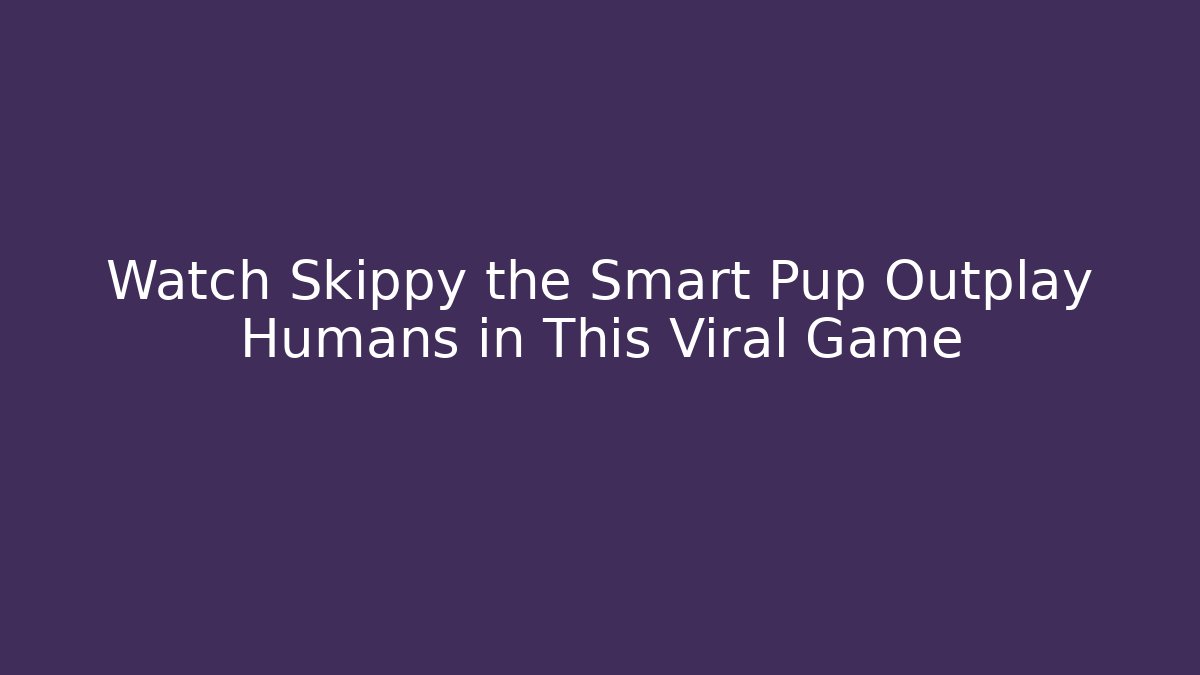 Watch Skippy the Smart Pup Outplay Humans in This Viral Game - Felix Cat Insurance