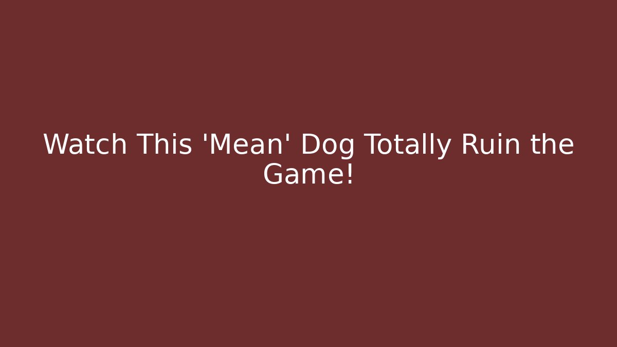 Watch This 'Mean' Dog Totally Ruin the Game!