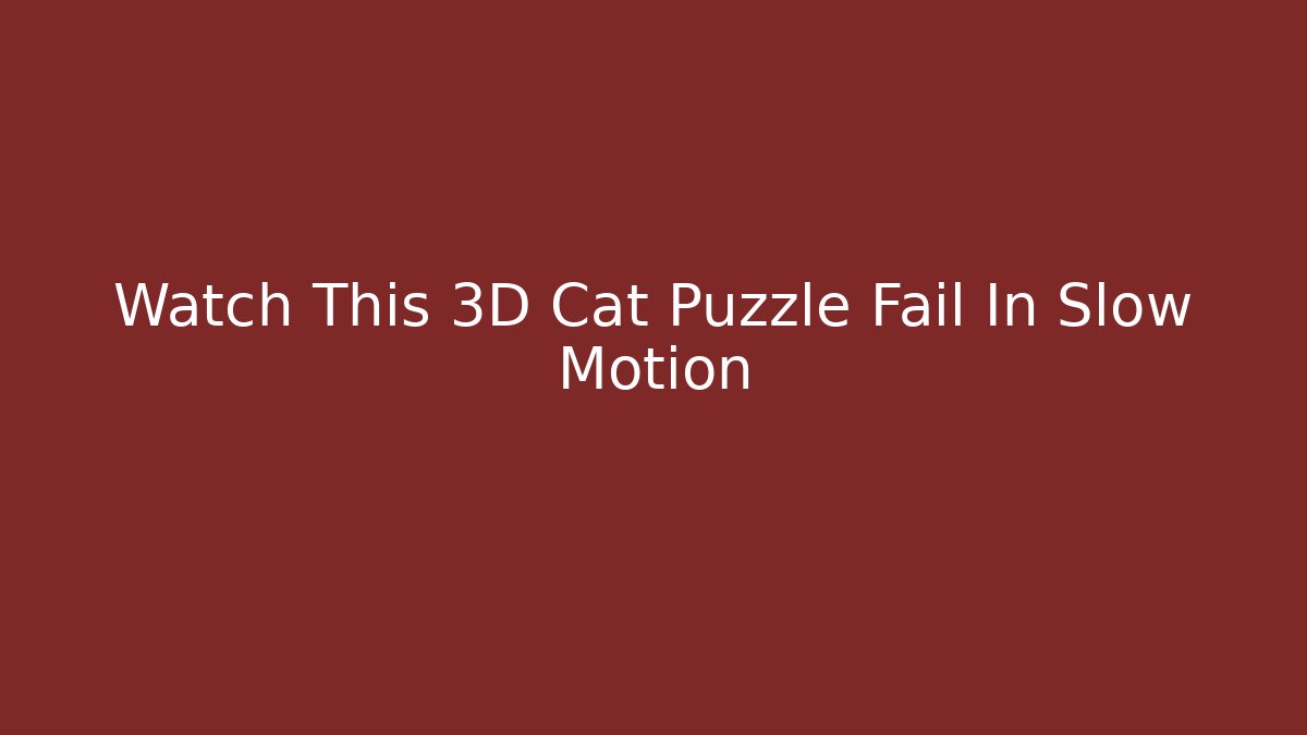 Watch This 3D Cat Puzzle Fail In Slow Motion