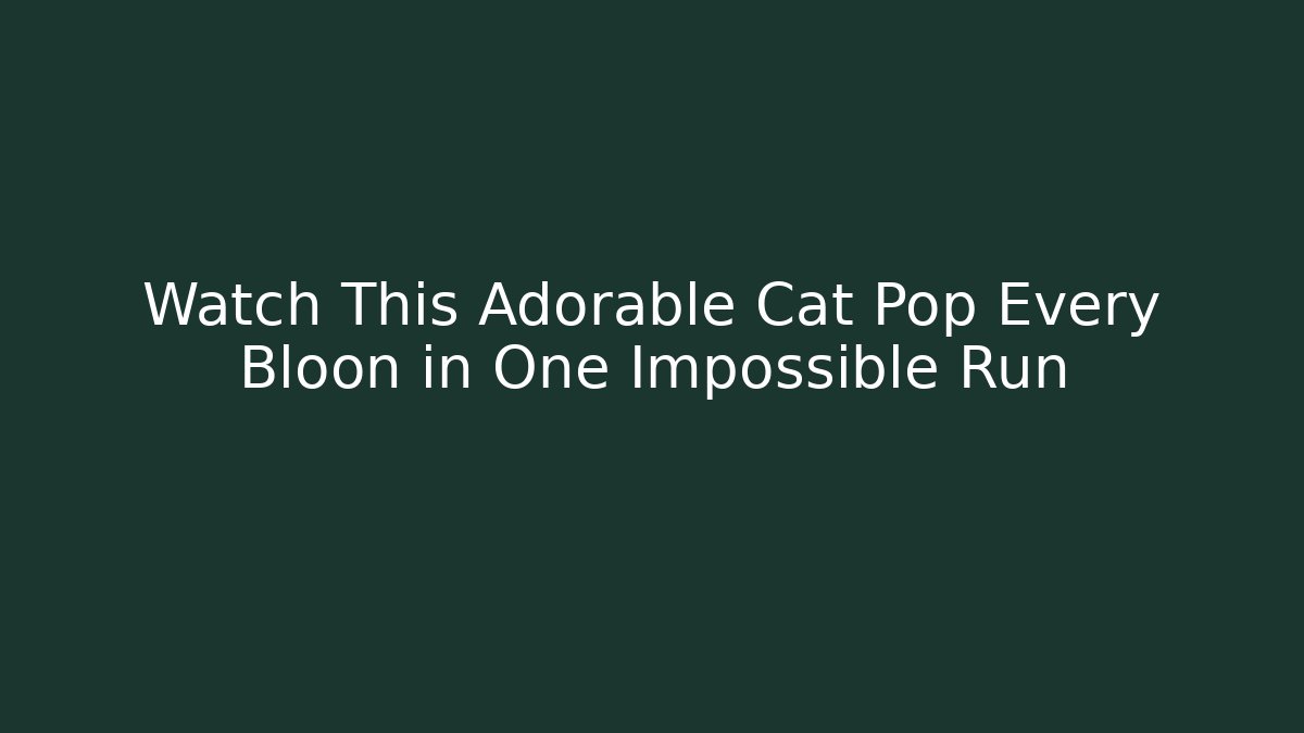 Watch This Adorable Cat Pop Every Bloon in One Impossible Run - Felix Cat Insurance