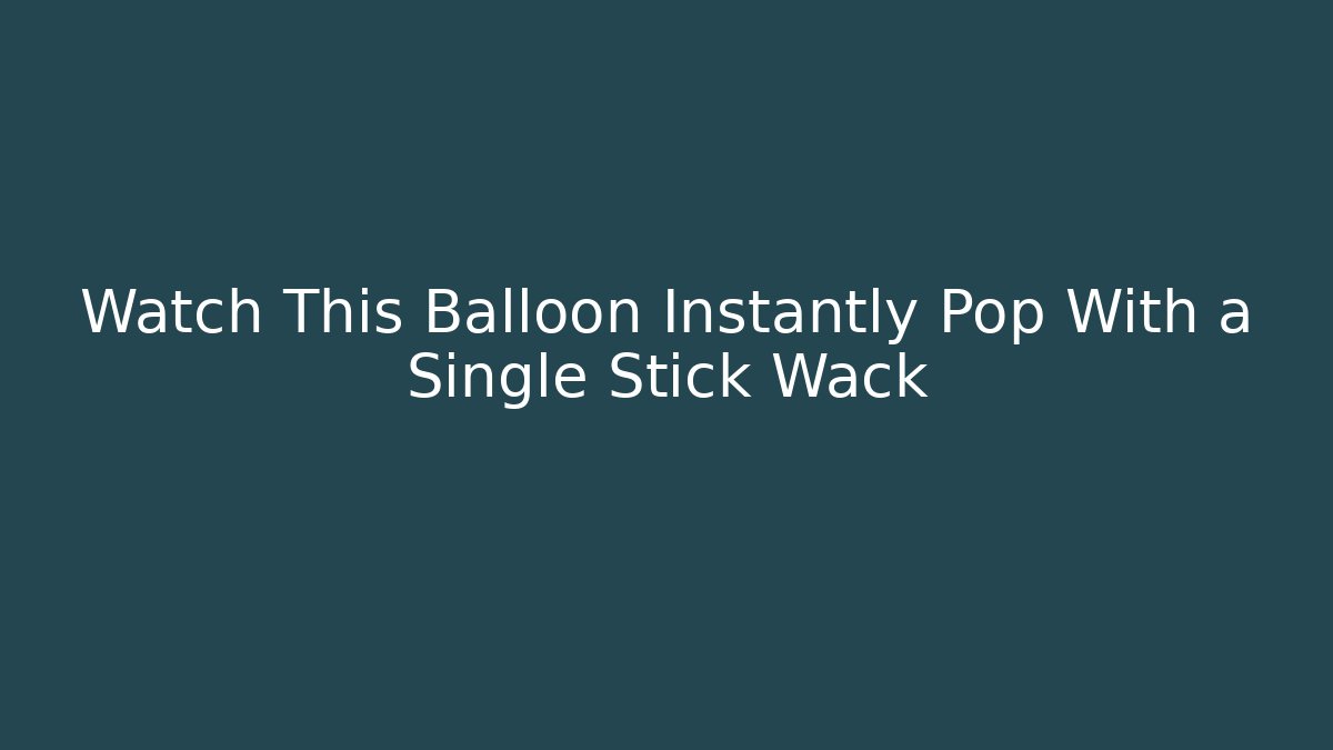 Watch This Balloon Instantly Pop With a Single Stick Wack - Felix Cat Insurance