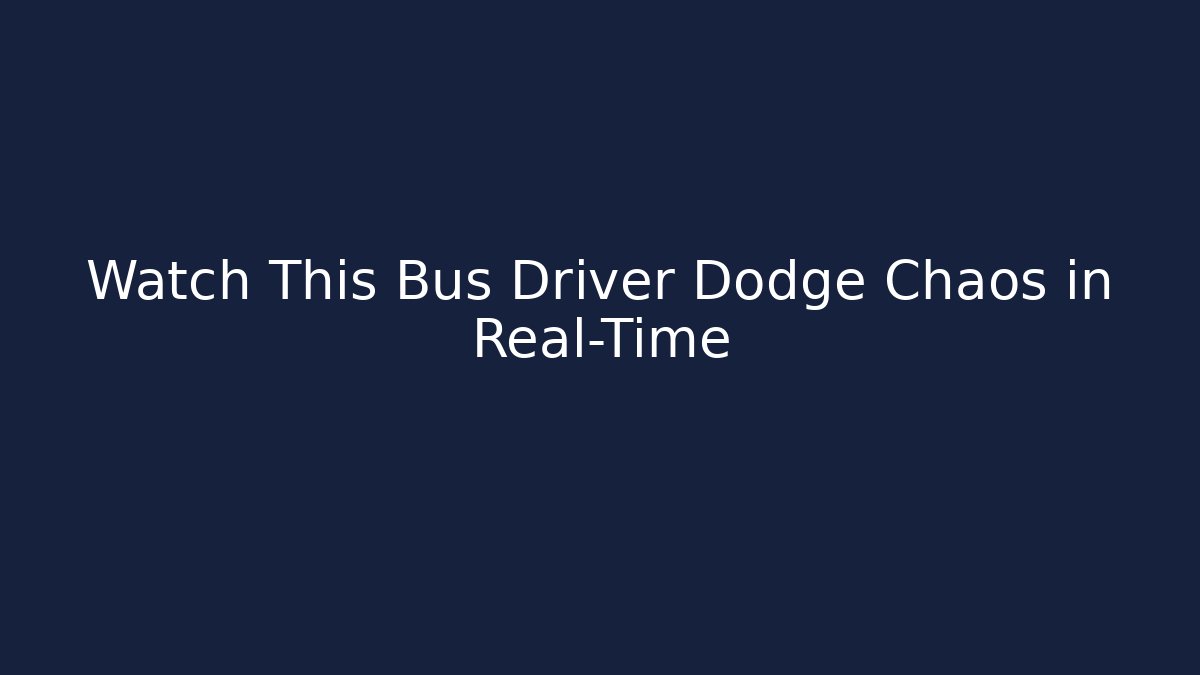 Watch This Bus Driver Dodge Chaos in Real-Time - Felix Cat Insurance