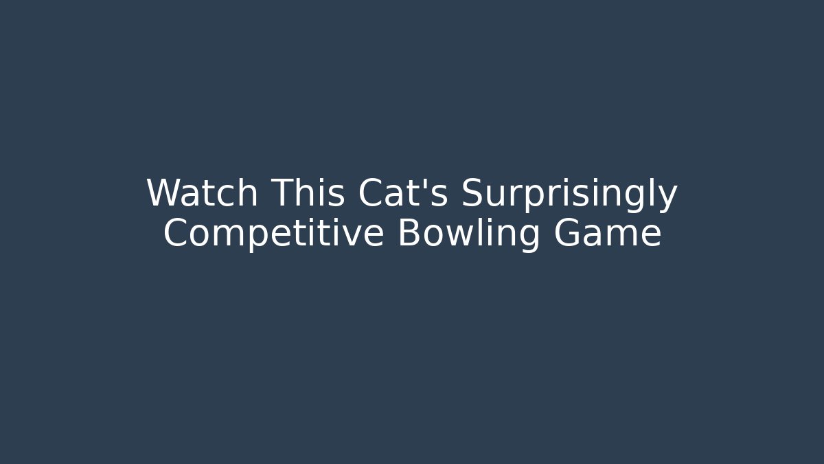 Watch This Cat’s Surprisingly Competitive Bowling Game