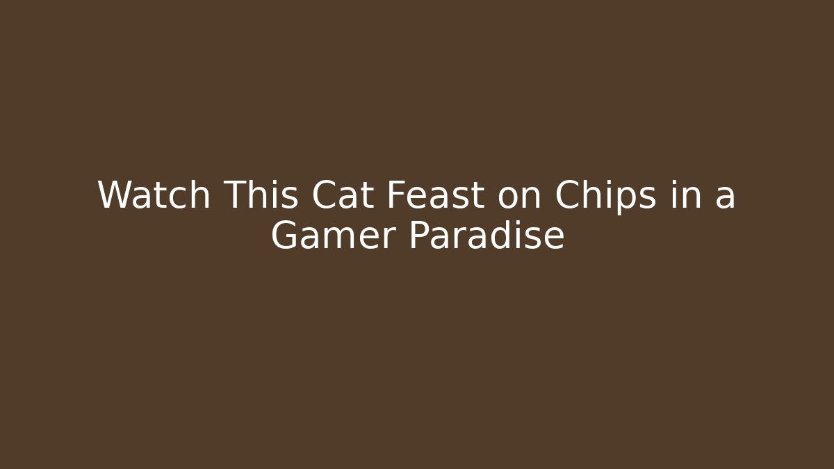 Watch This Cat Feast on Chips in a Gamer Paradise