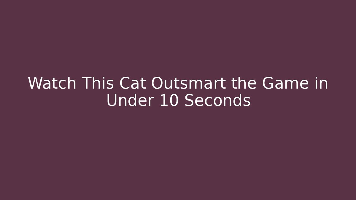 Watch This Cat Outsmart the Game in Under 10 Seconds