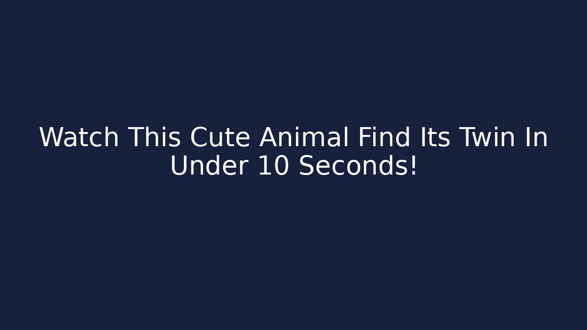 Watch This Cute Animal Find Its Twin In Under 10 Seconds!