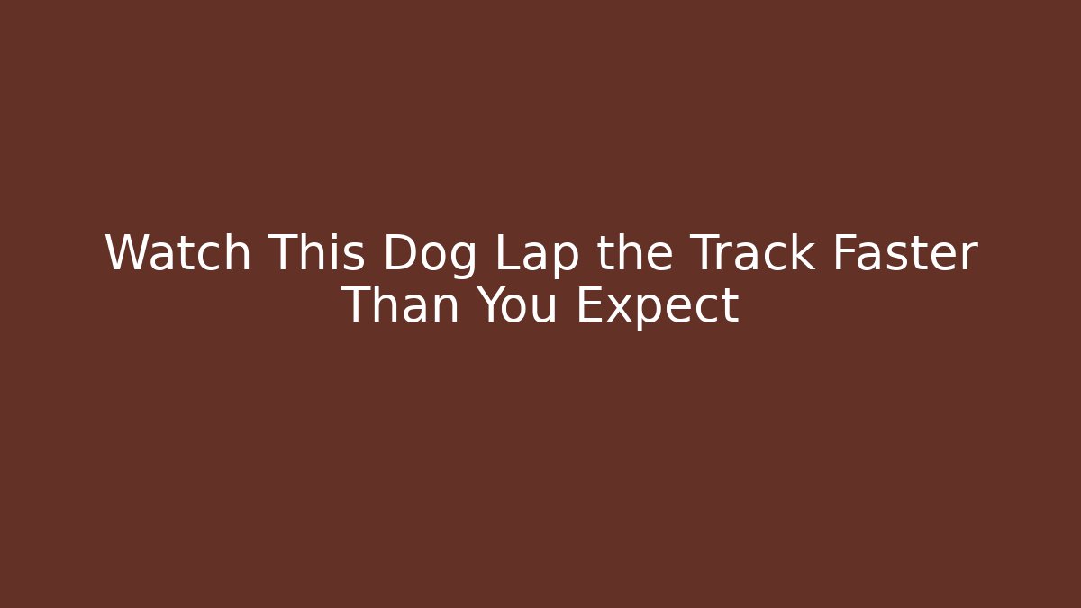 Watch This Dog Lap the Track Faster Than You Expect