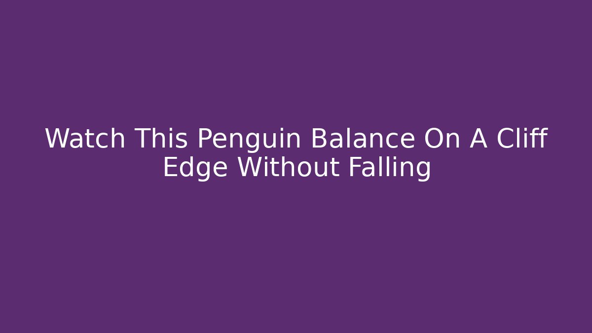 Watch This Penguin Balance On A Cliff Edge Without Falling