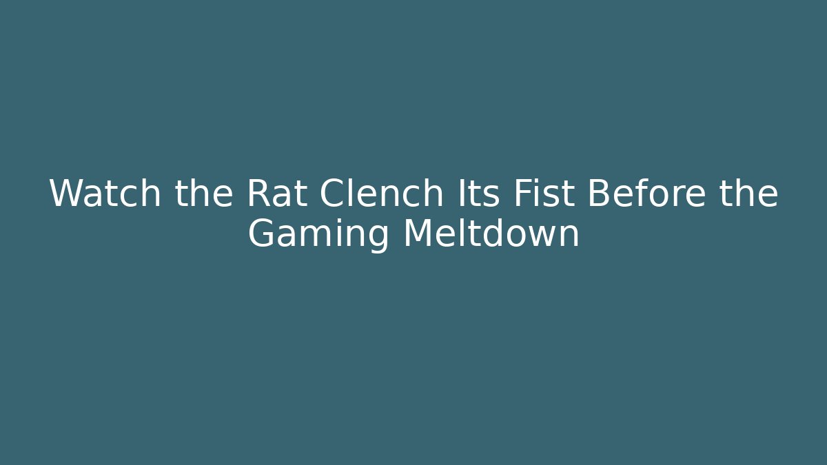 Watch the Rat Clench Its Fist Before the Gaming Meltdown
