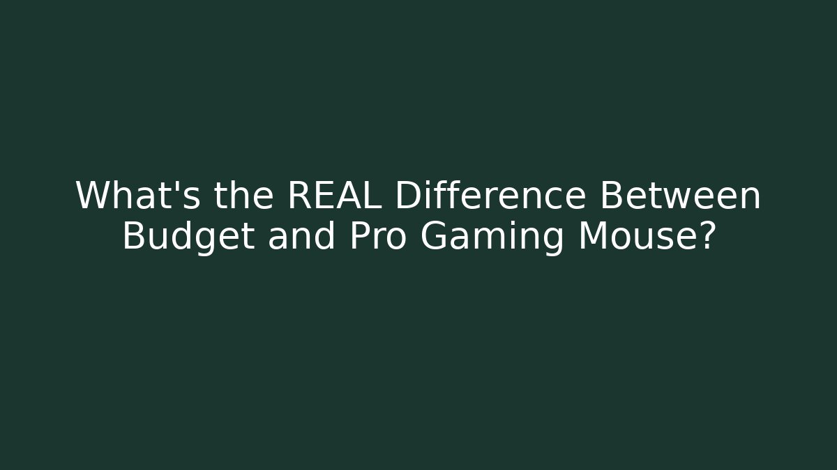 What’s the REAL Difference Between Budget and Pro Gaming Mouse?