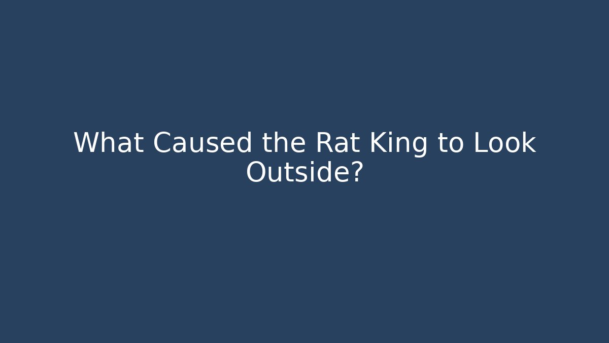What Caused the Rat King to Look Outside?