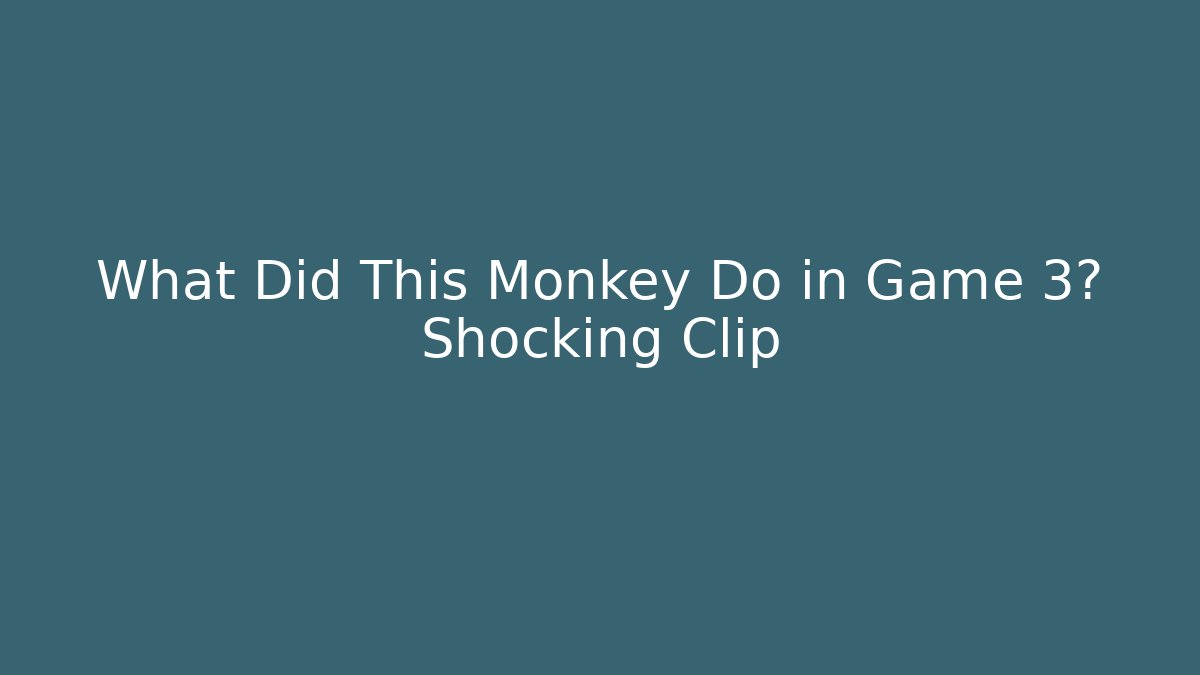 What Did This Monkey Do in Game 3? Shocking Clip