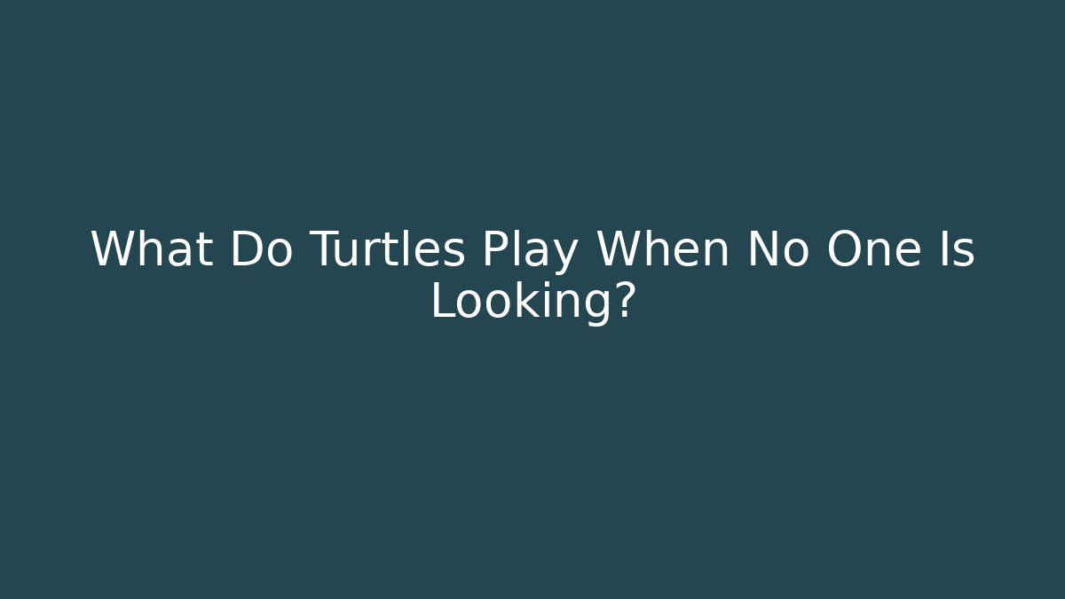 What Do Turtles Play When No One Is Looking?