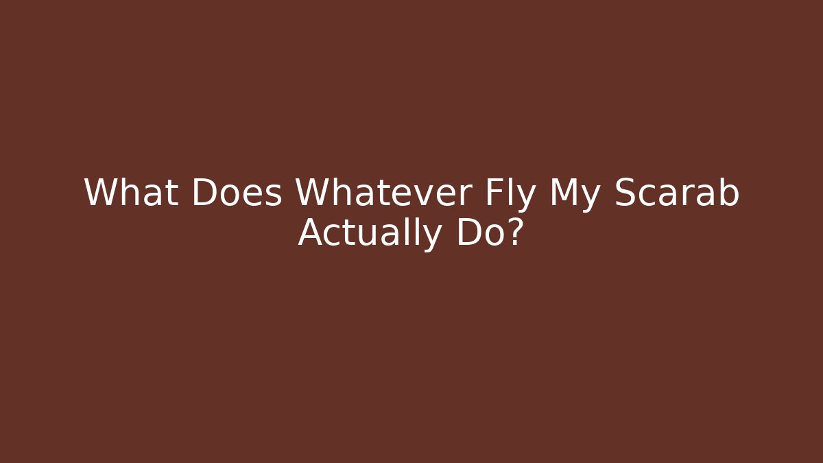 What Does Whatever Fly My Scarab Actually Do?