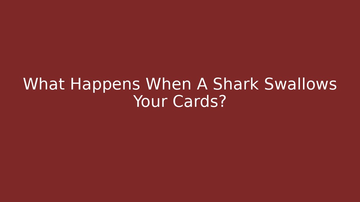 What Happens When A Shark Swallows Your Cards?