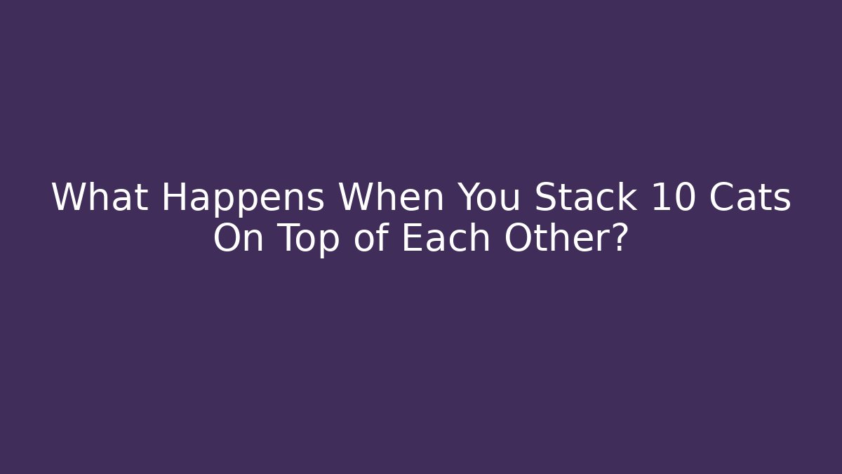What Happens When You Stack 10 Cats On Top of Each Other?