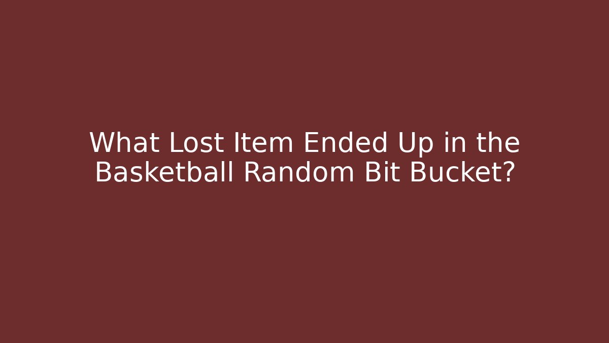 What Lost Item Ended Up in the Basketball Random Bit Bucket?
