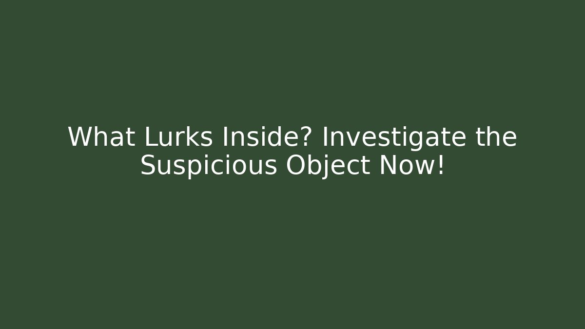 What Lurks Inside? Investigate the Suspicious Object Now!