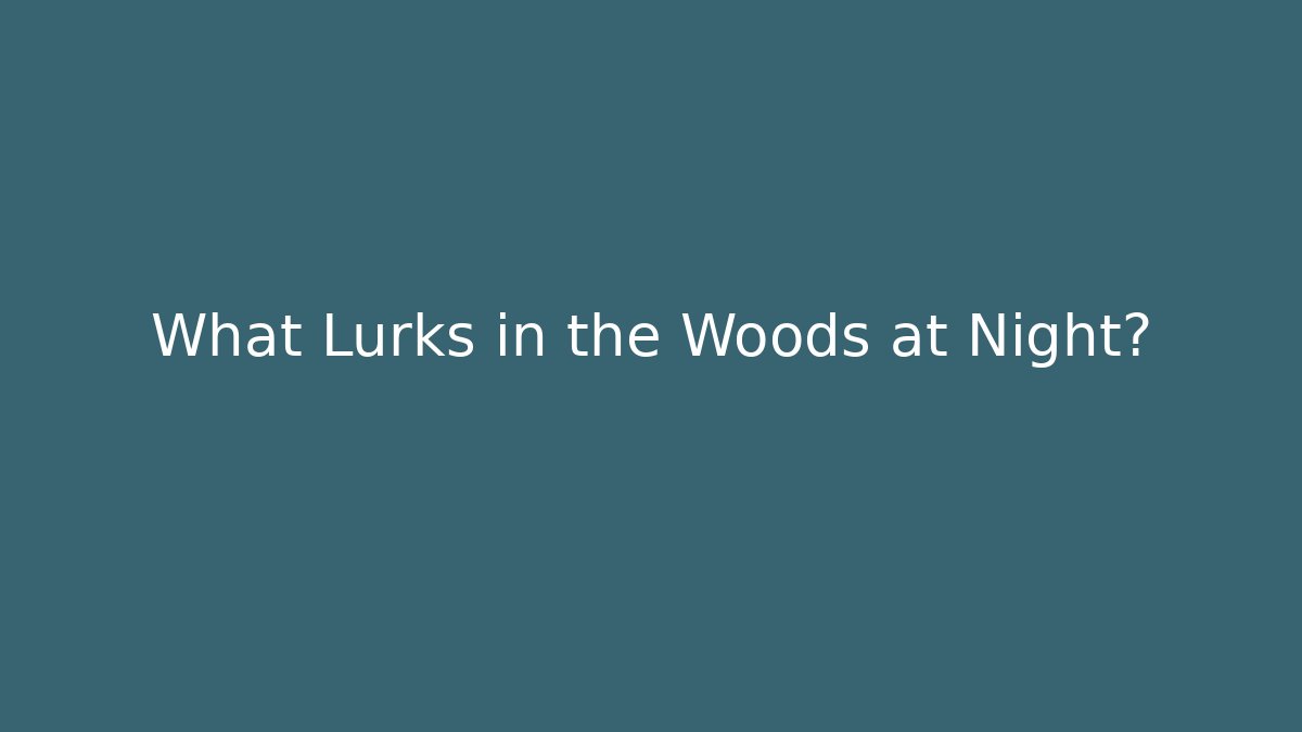 What Lurks in the Woods at Night?