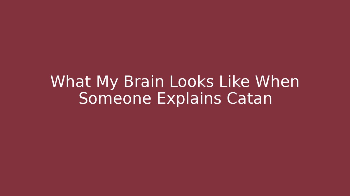 What My Brain Looks Like When Someone Explains Catan