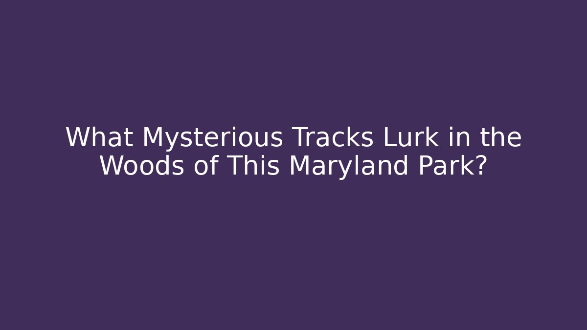 What Mysterious Tracks Lurk in the Woods of This Maryland Park?
