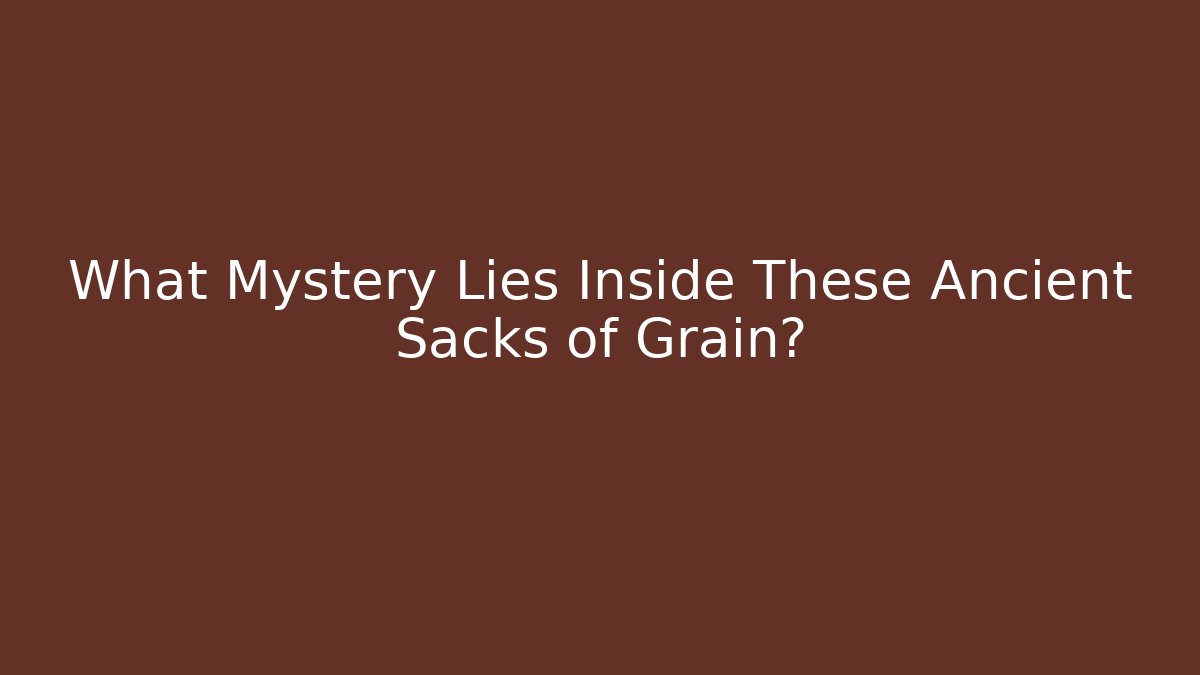 What Mystery Lies Inside These Ancient Sacks of Grain?
