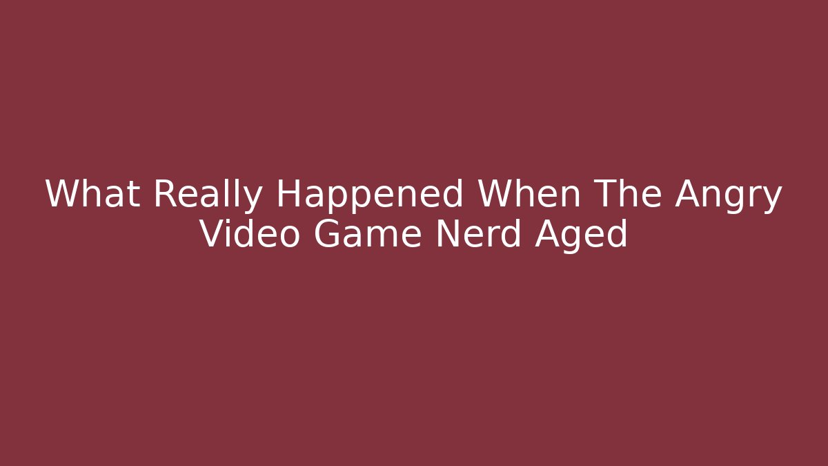 What Really Happened When The Angry Video Game Nerd Aged - Felix Cat Insurance