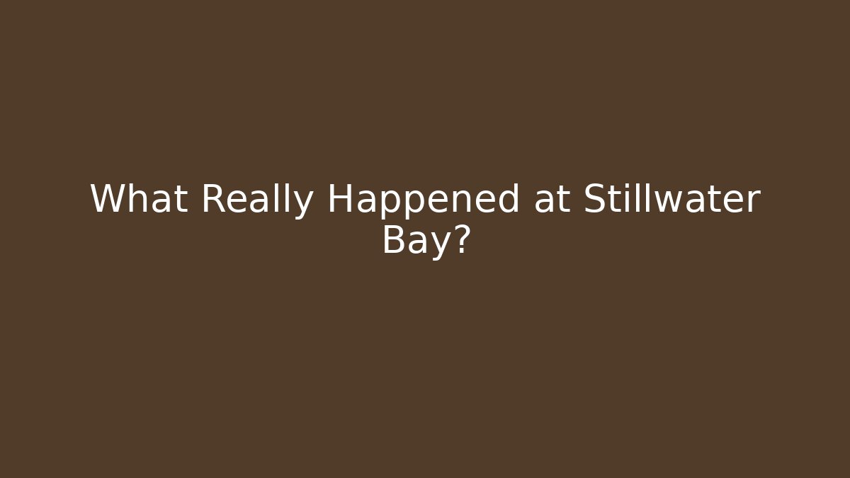 What Really Happened at Stillwater Bay? - Felix Cat Insurance