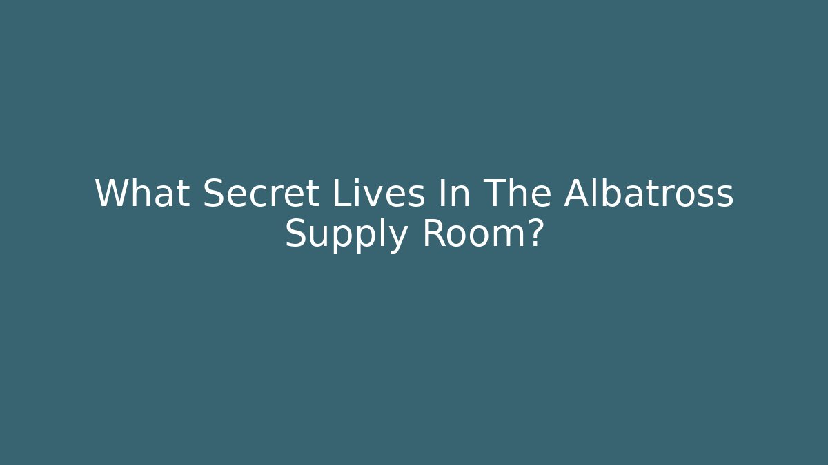 What Secret Lives In The Albatross Supply Room? - Felix Cat Insurance