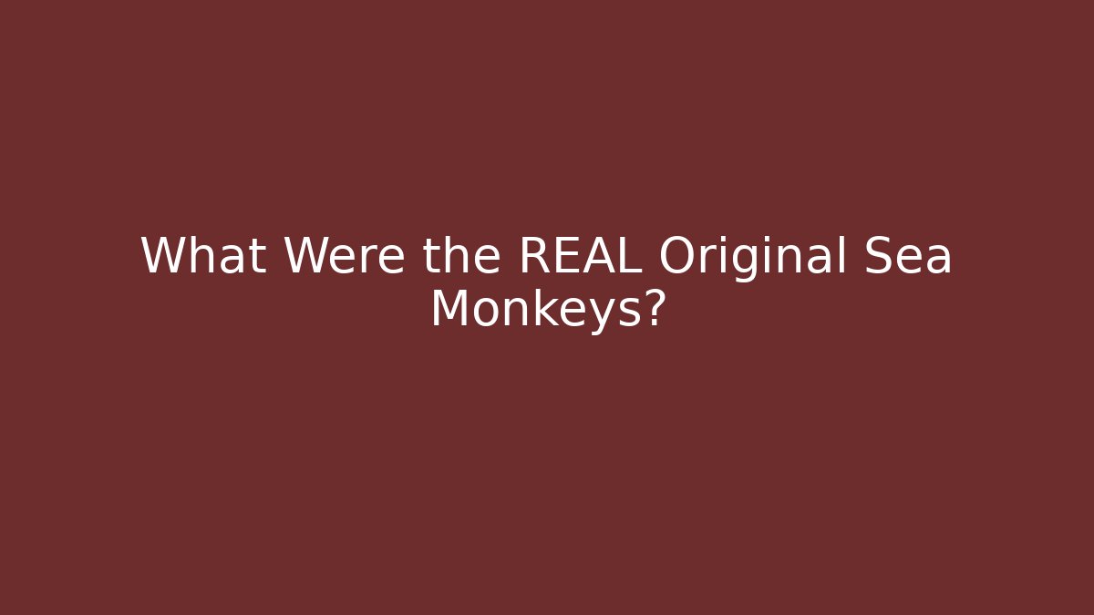 What Were the REAL Original Sea Monkeys?