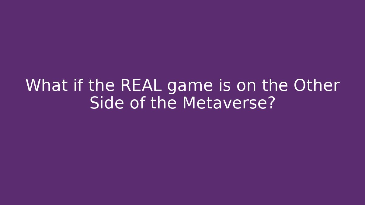 What if the REAL game is on the Other Side of the Metaverse?