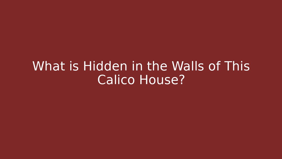 What is Hidden in the Walls of This Calico House?