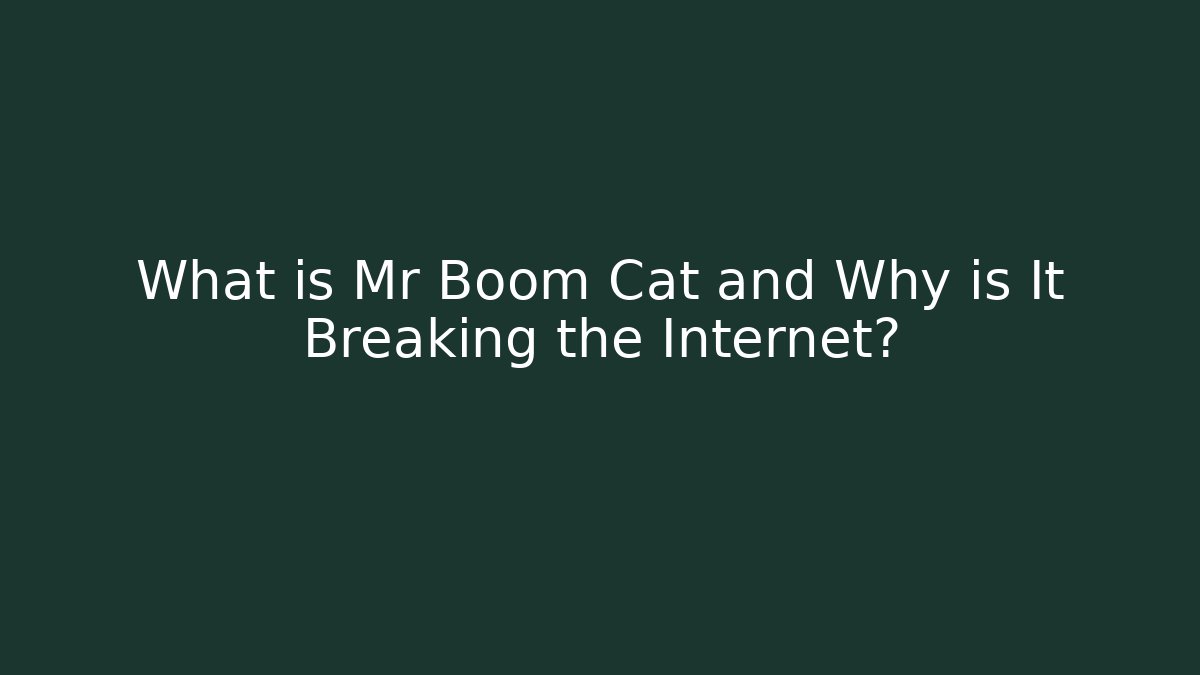 What is Mr Boom Cat and Why is It Breaking the Internet?
