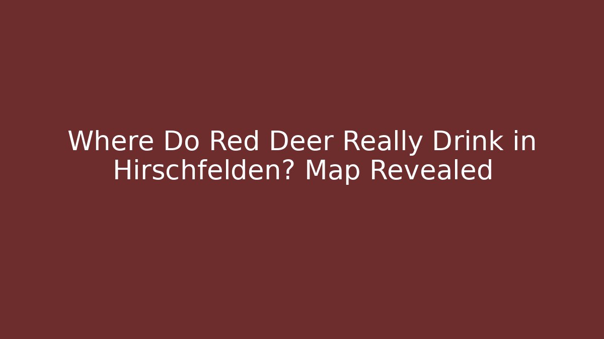 Where Do Red Deer Really Drink in Hirschfelden? Map Revealed
