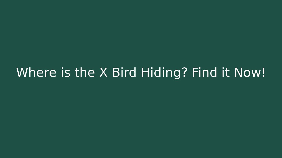 Where is the X Bird Hiding? Find it Now!