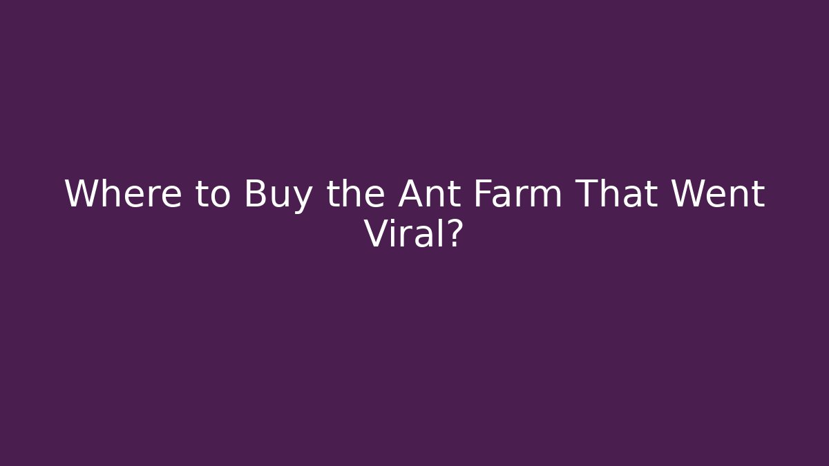 Where to Buy the Ant Farm That Went Viral?