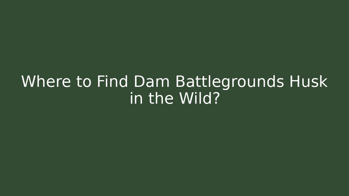 Where to Find Dam Battlegrounds Husk in the Wild?