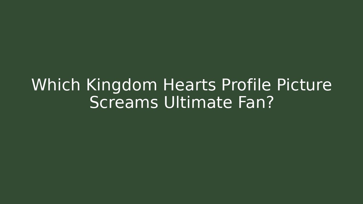 Which Kingdom Hearts Profile Picture Screams Ultimate Fan?