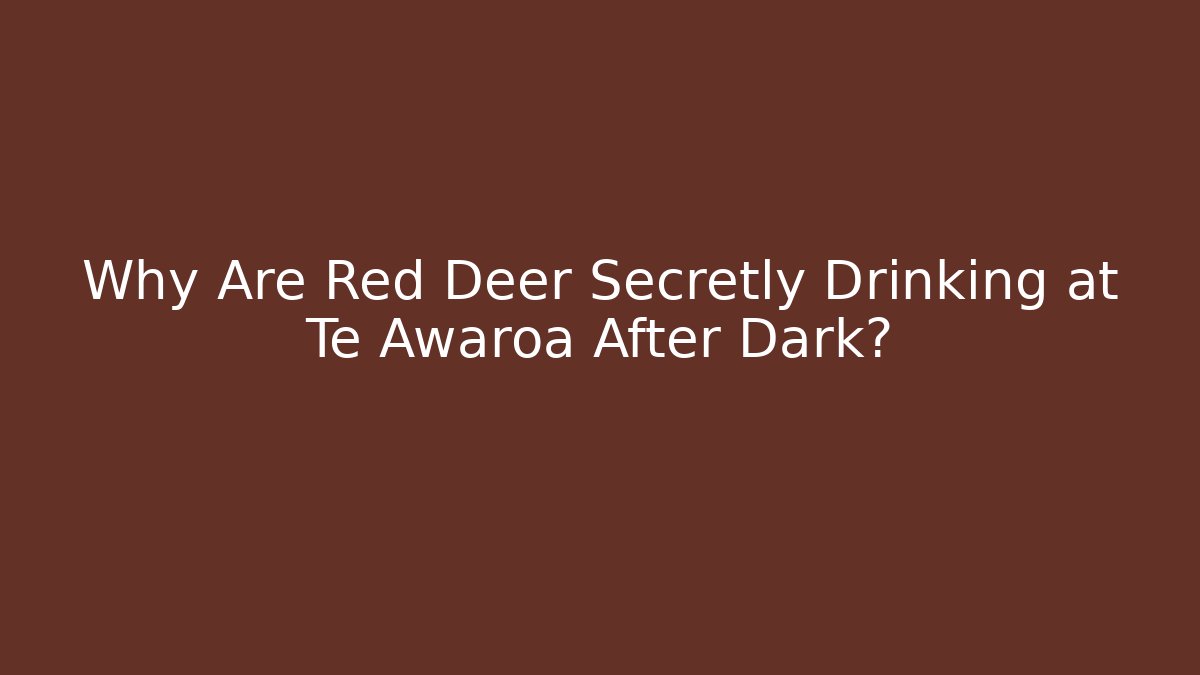 Why Are Red Deer Secretly Drinking at Te Awaroa After Dark?