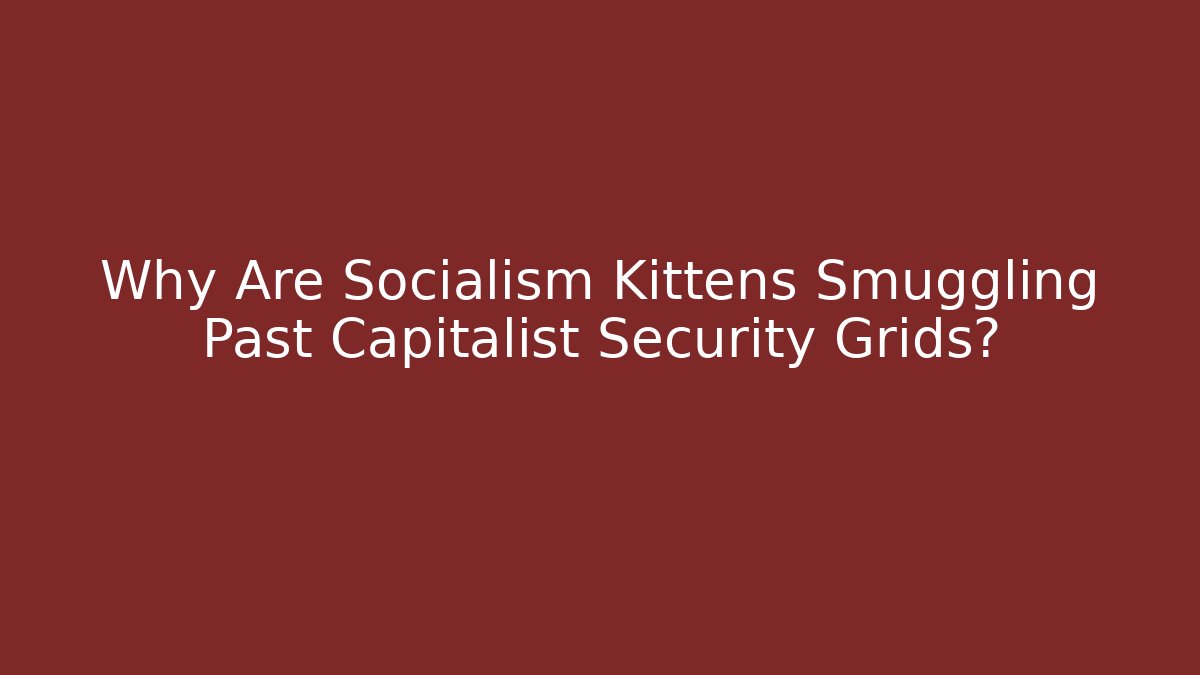 Why Are Socialism Kittens Smuggling Past Capitalist Security Grids? - Felix Cat Insurance