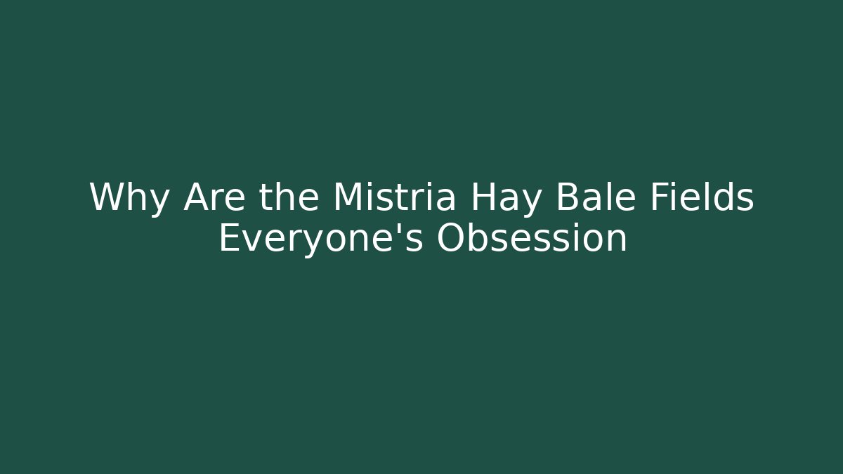 Why Are the Mistria Hay Bale Fields Everyone's Obsession - Felix Cat Insurance