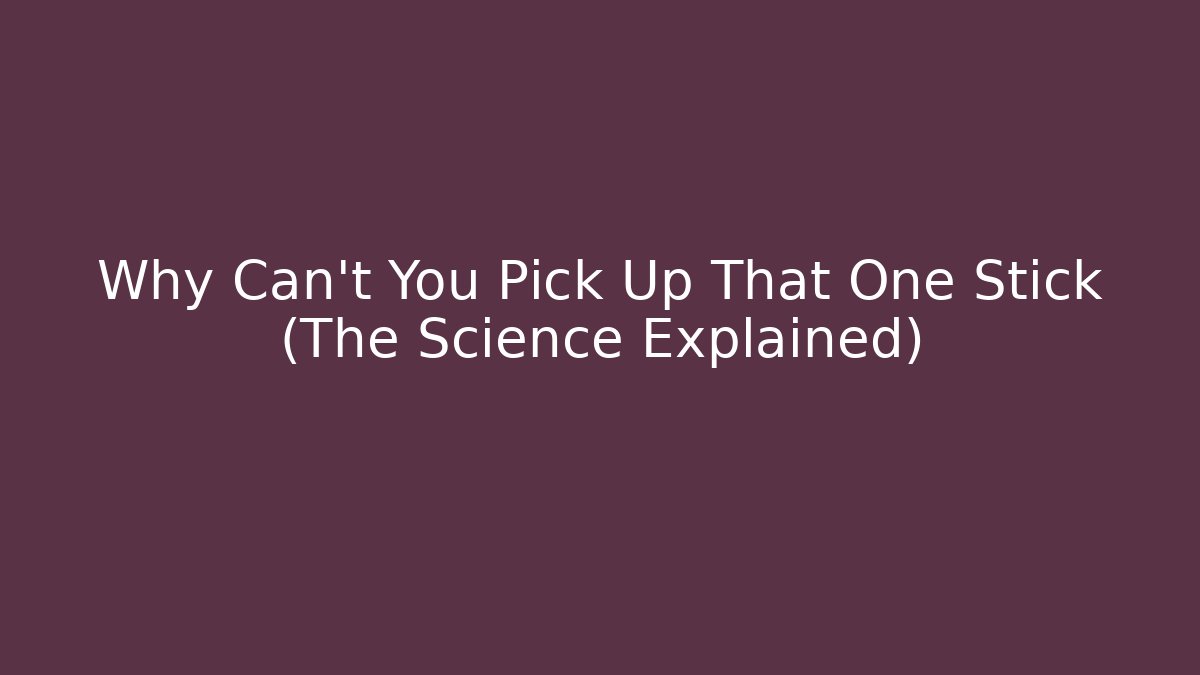 Why Can't You Pick Up That One Stick (The Science Explained) - Felix Cat Insurance