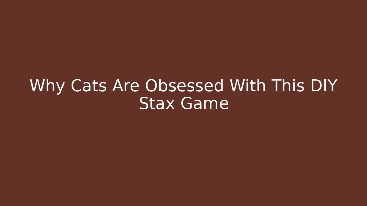 Why Cats Are Obsessed With This DIY Stax Game - Felix Cat Insurance