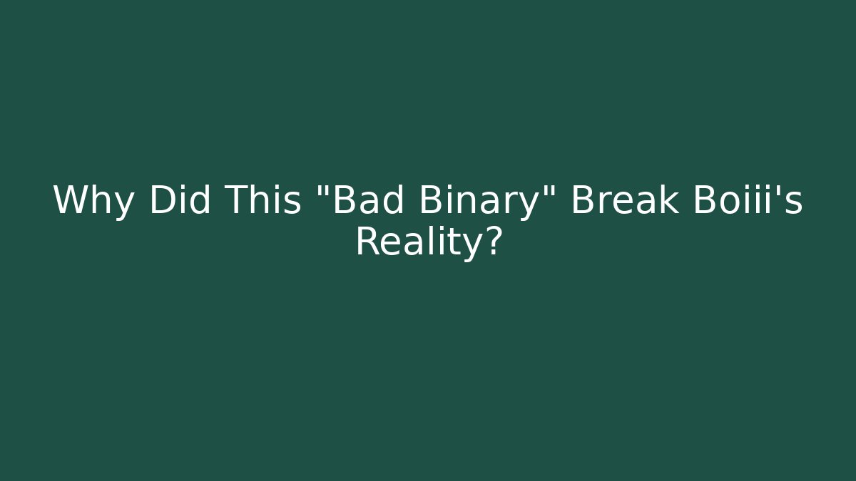 Why Did This “Bad Binary” Break Boiii’s Reality? - Felix Cat Insurance