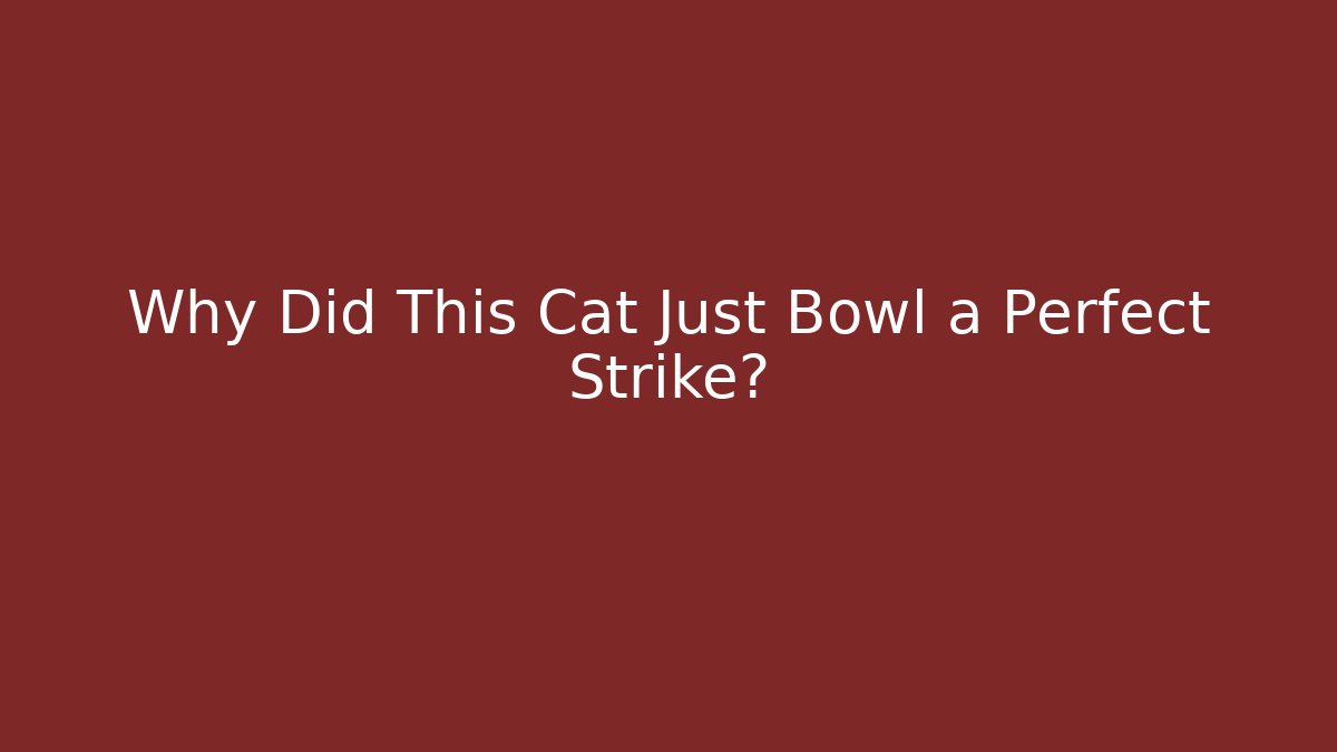 Why Did This Cat Just Bowl a Perfect Strike?