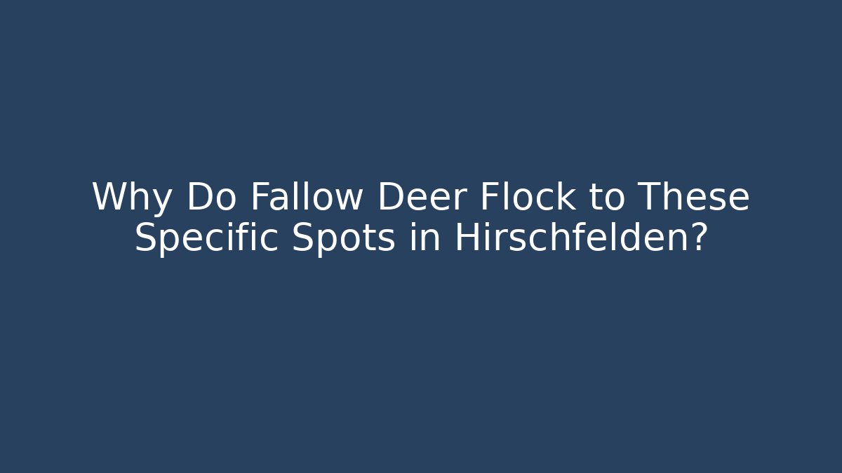 Why Do Fallow Deer Flock to These Specific Spots in Hirschfelden?