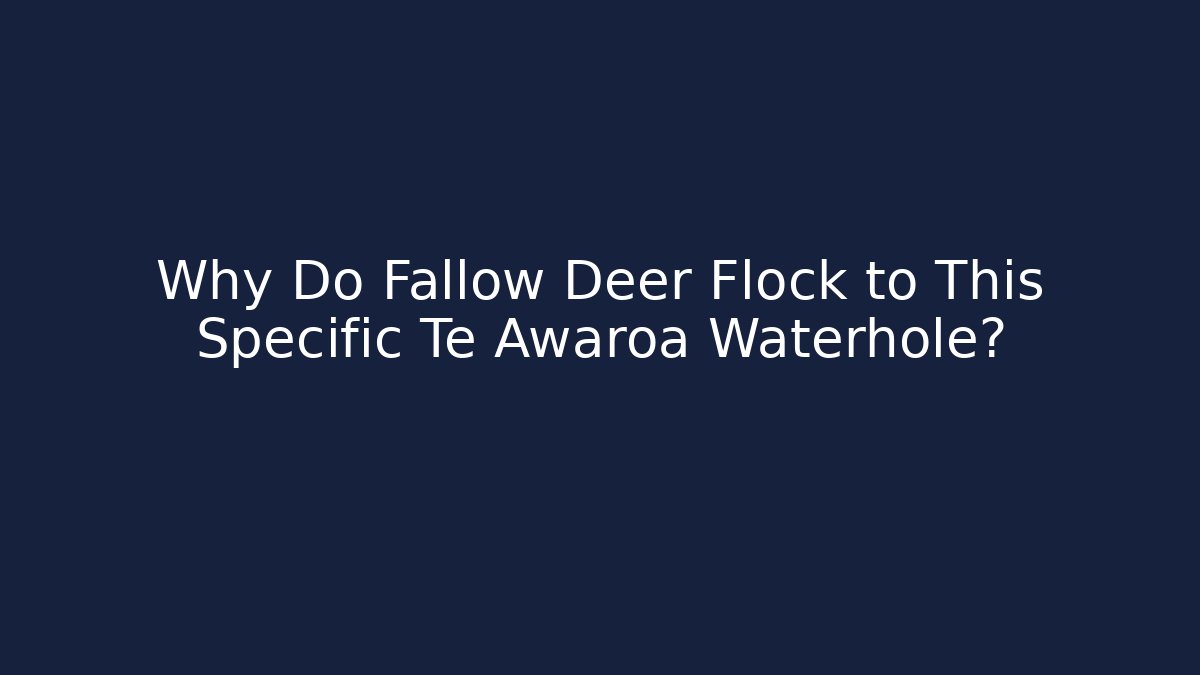 Why Do Fallow Deer Flock to This Specific Te Awaroa Waterhole?
