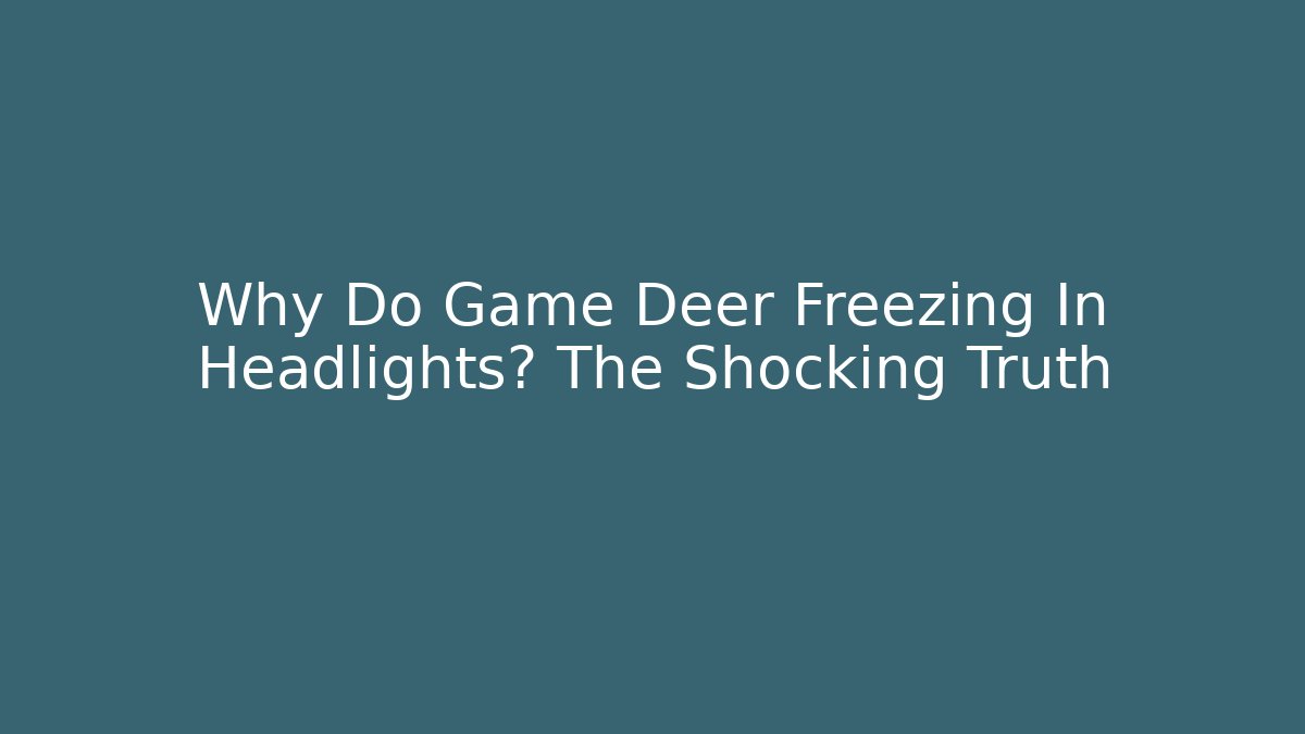 Why Do Game Deer Freezing In Headlights? The Shocking Truth