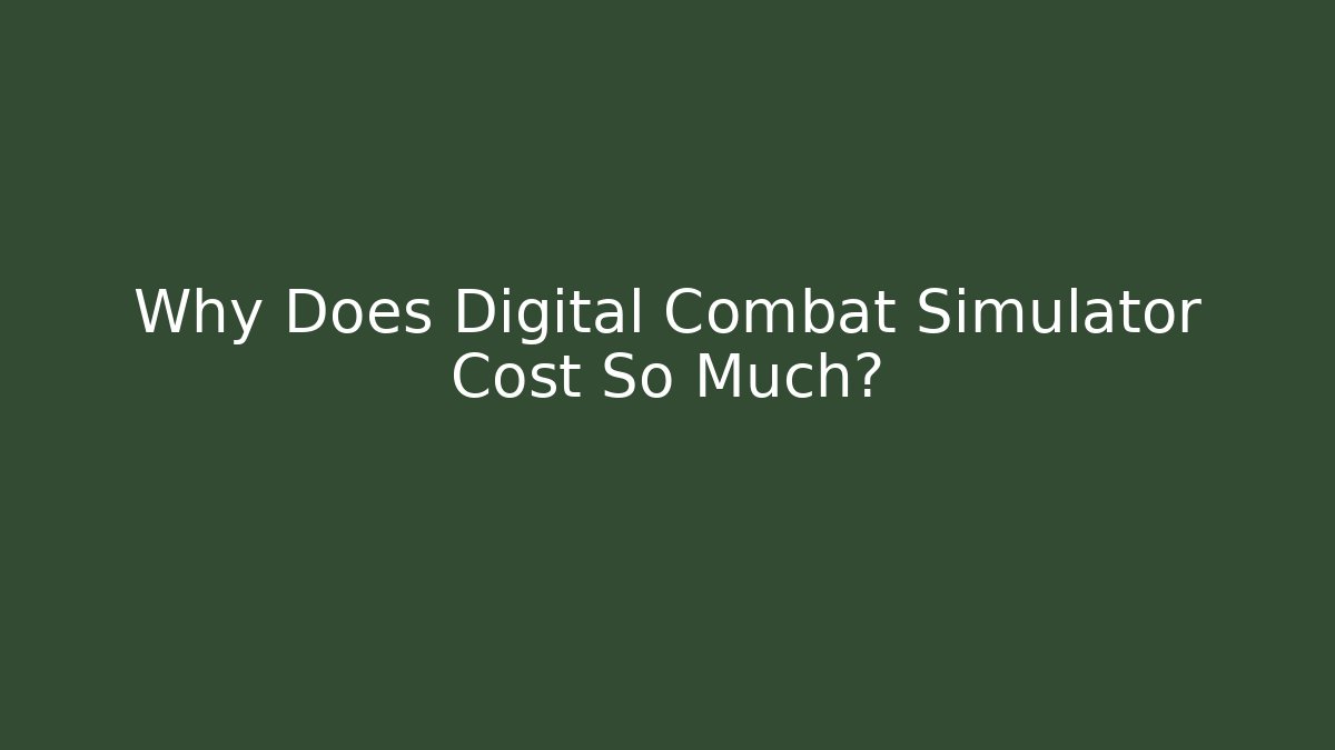 Why Does Digital Combat Simulator Cost So Much?