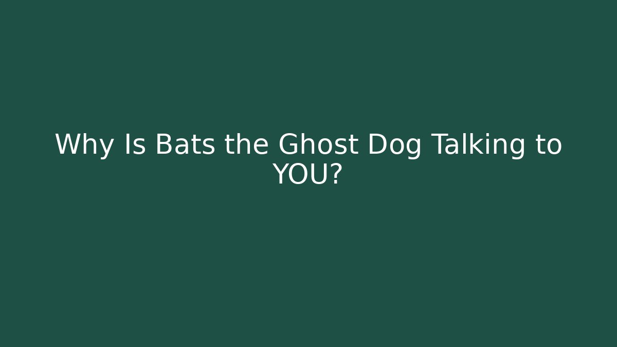 Why Is Bats the Ghost Dog Talking to YOU? - Felix Cat Insurance